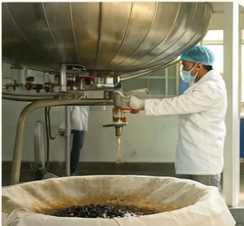 Shilajit resin being filtered in the plant