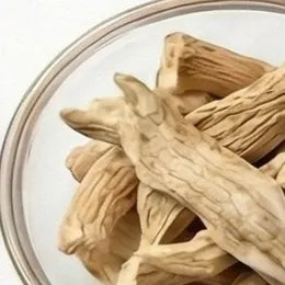 Safed Musli
